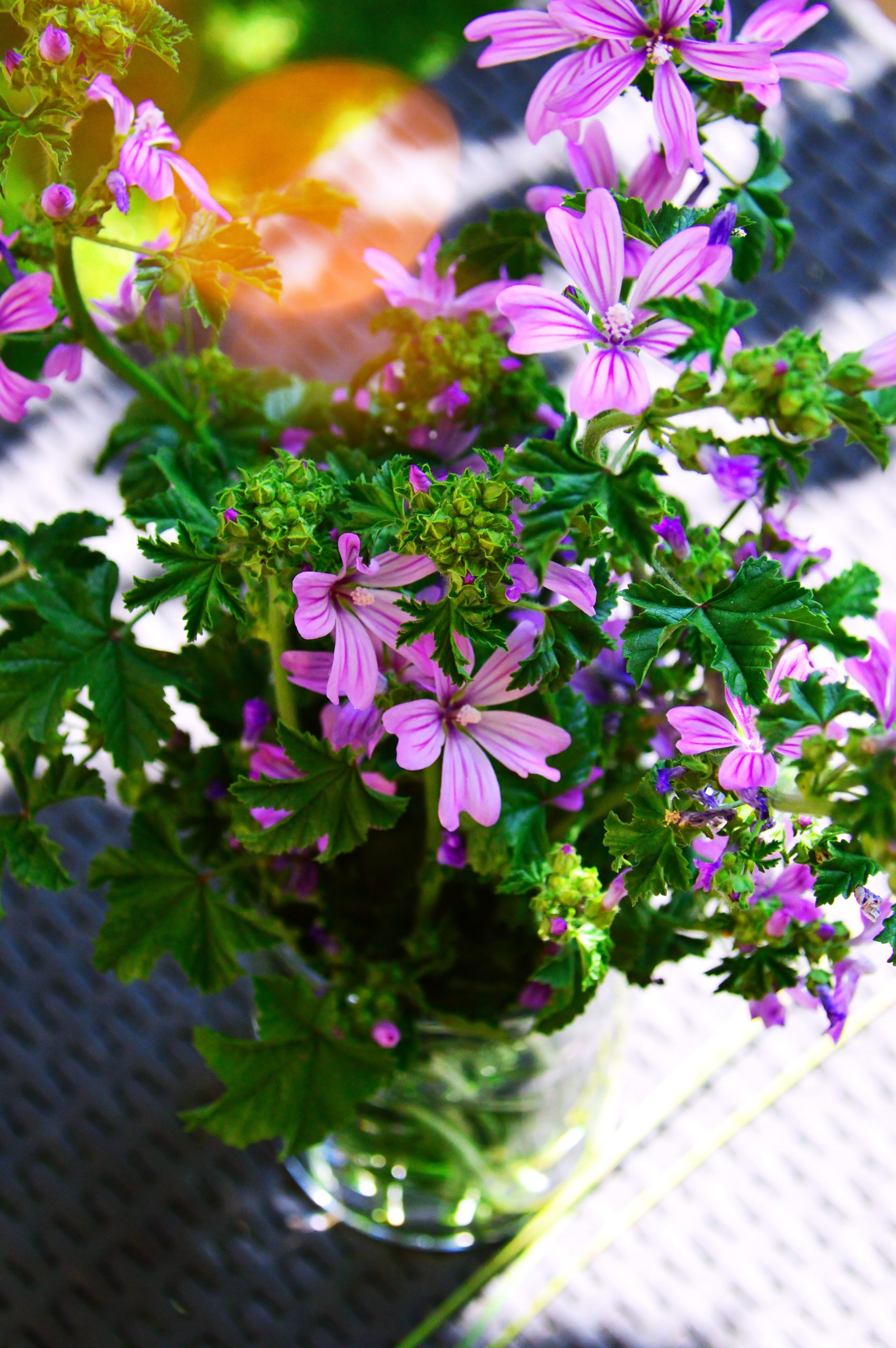 Am I behind in life?