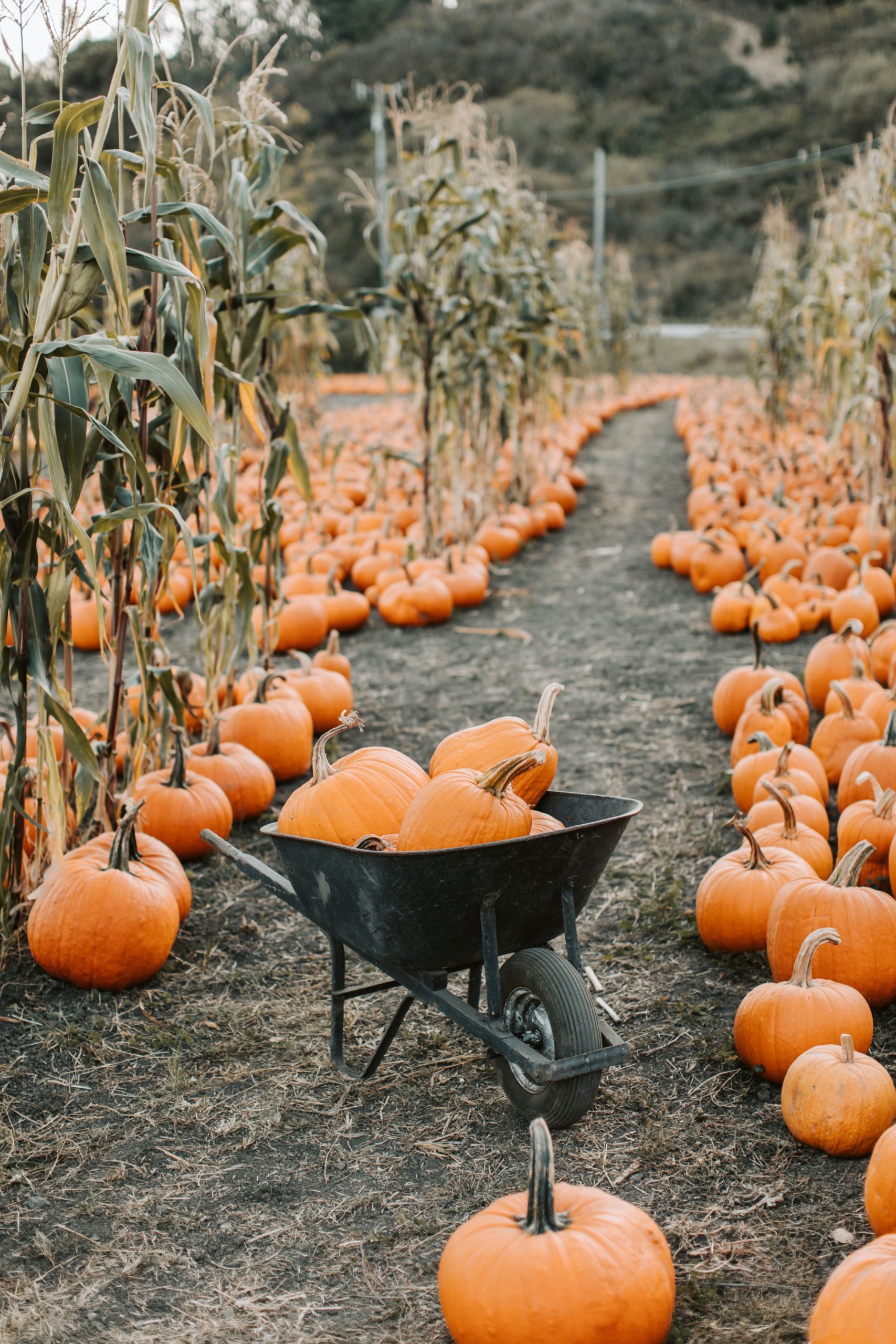 Let's have fun October edition