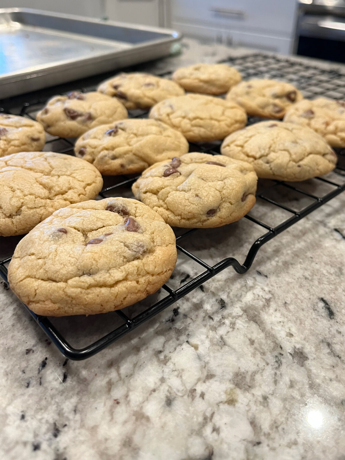 Chocolate chip cookies with no eggs