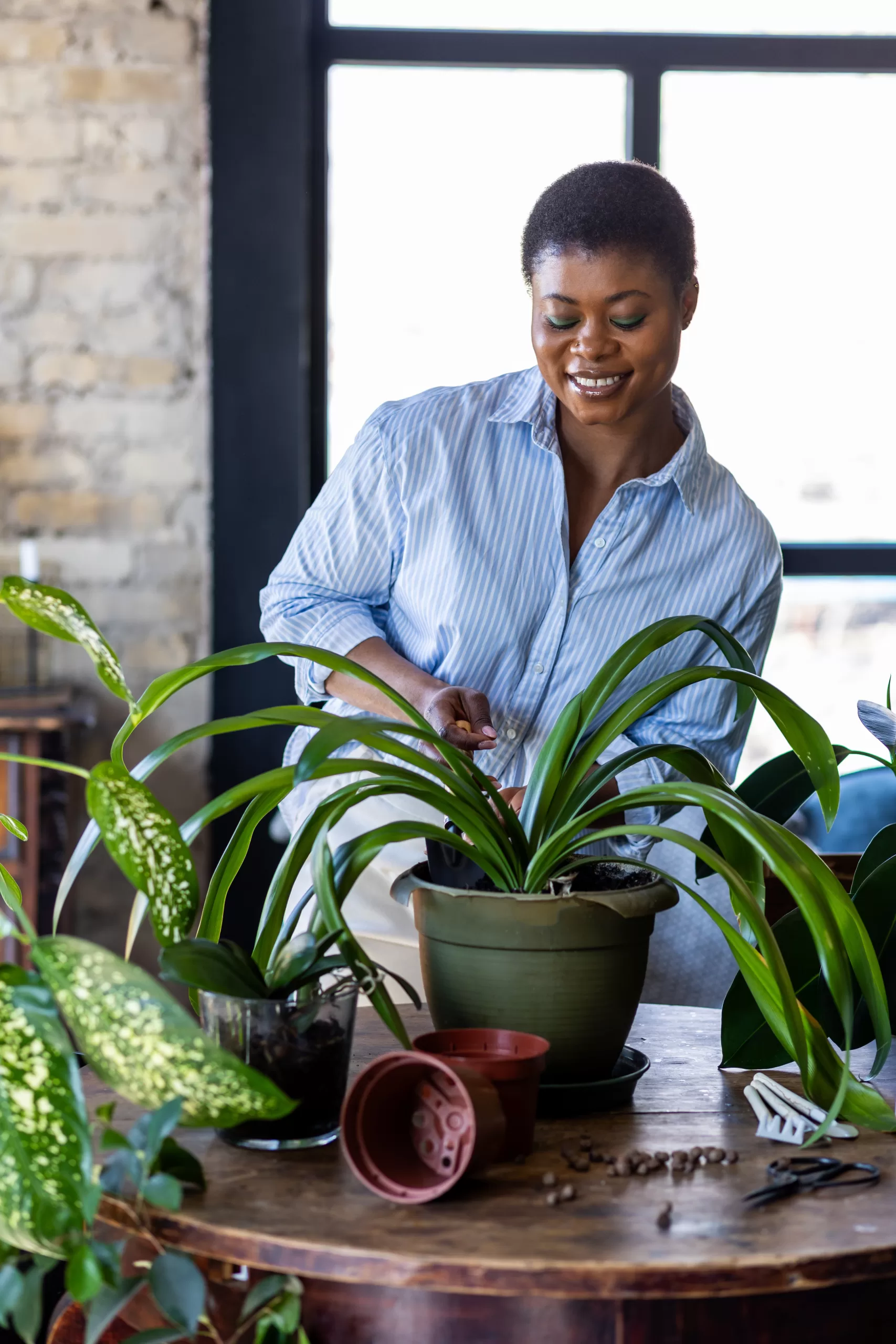 How to Monetize Without Compromising Your Passion