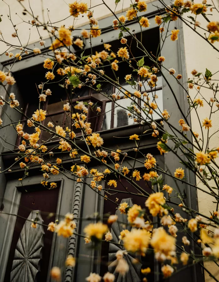 10 things about Spring