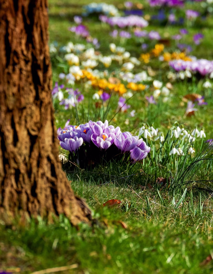 April's 10 on the 10th