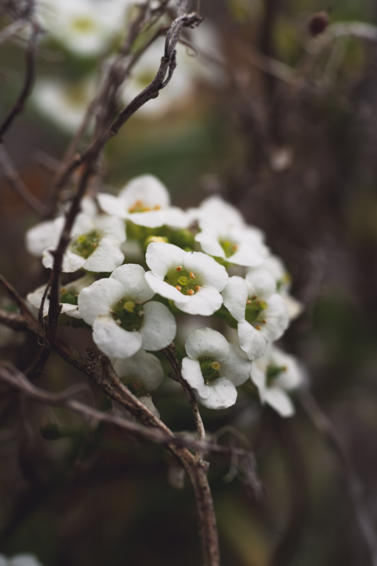 What editing photos taught me about editing my life