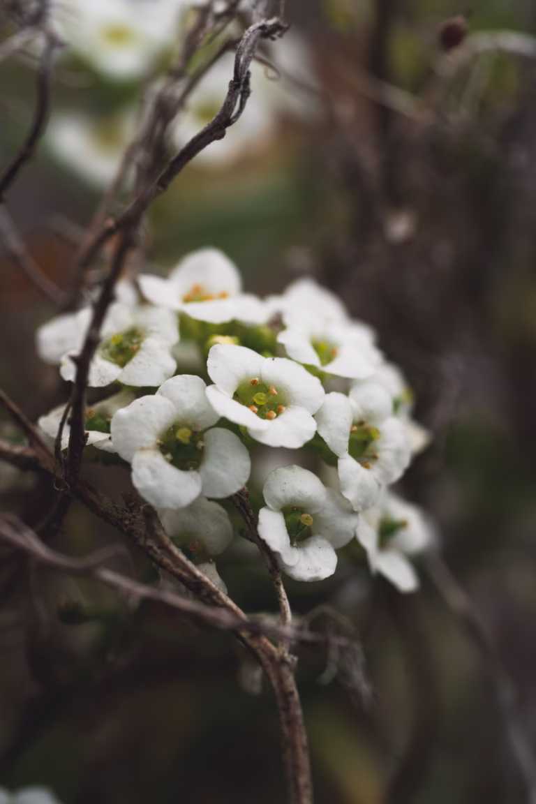 What editing photos taught me about editing my life
